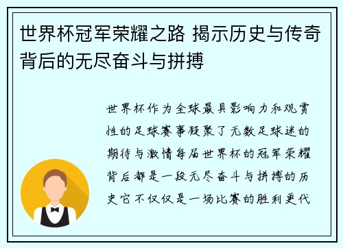 世界杯冠军荣耀之路 揭示历史与传奇背后的无尽奋斗与拼搏