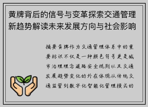 黄牌背后的信号与变革探索交通管理新趋势解读未来发展方向与社会影响